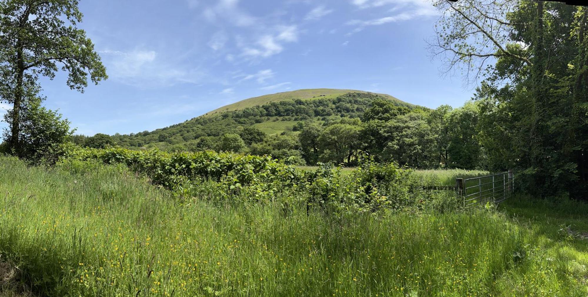 Baddegai Brecon