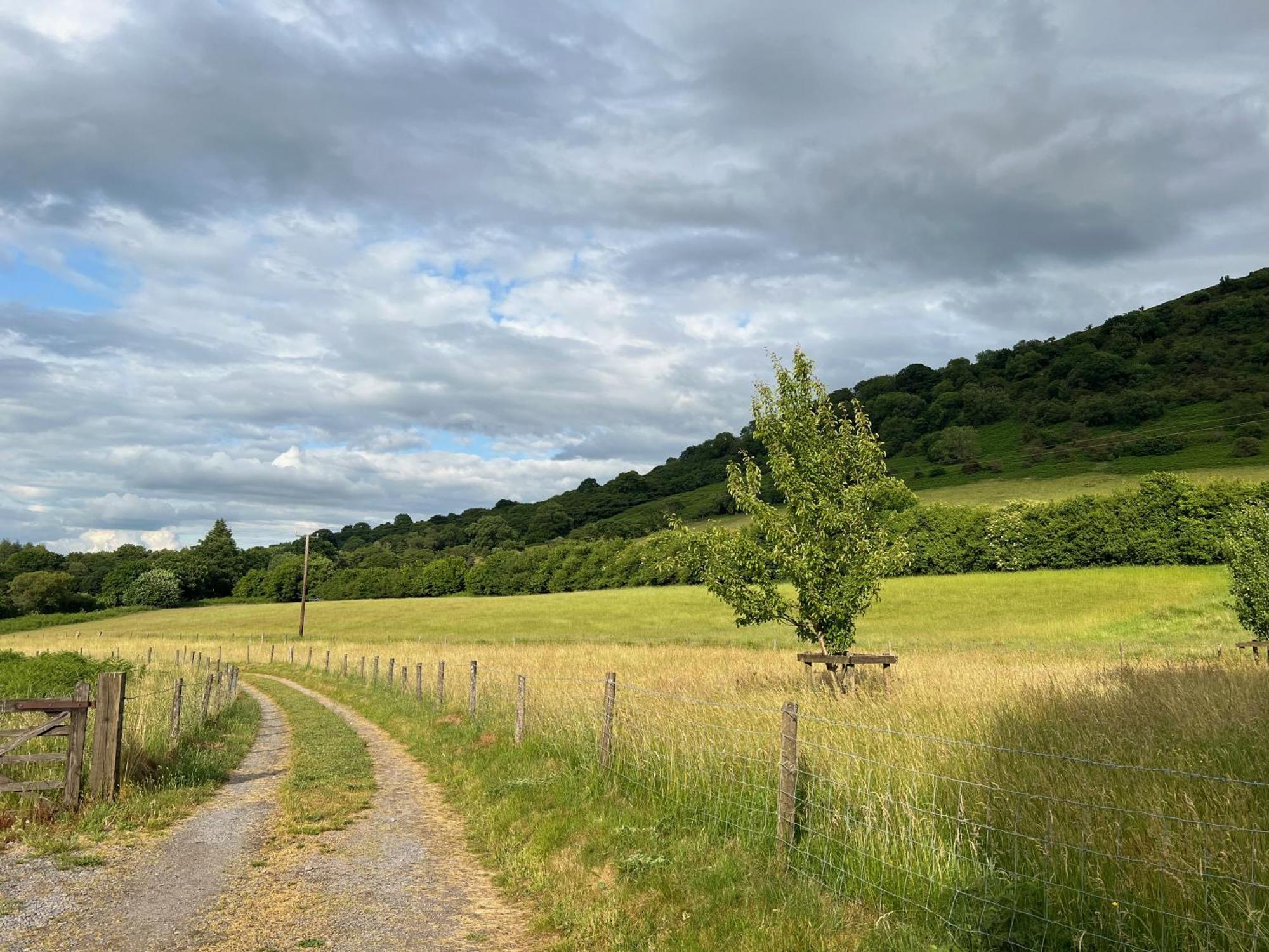 Baddegai Brecon